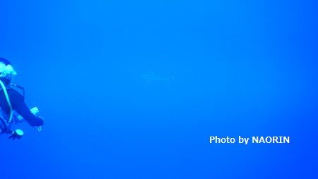 DSCN3250