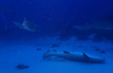 P7250467