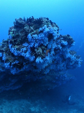PB028393 2