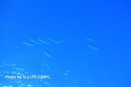 DSC03879