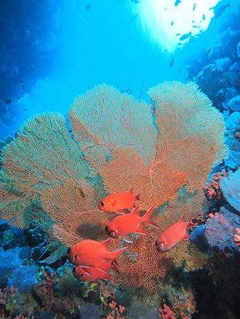 P4220279