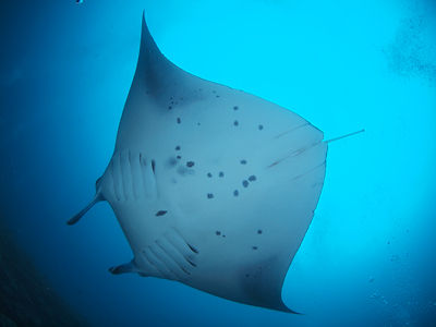 P8211231
