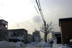2009/1/20 ���ڤηʿ�