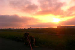 2009/5/5 ˭ʿ��褤�ˤ�