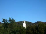 北海道大観音