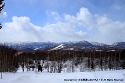 駒岡から眺める景色