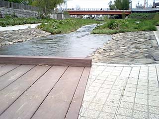橋からの景色