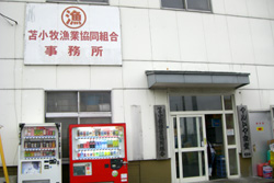 �Ѿ��� �ޥ�ȥ޿�Ʋ