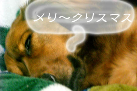 ���ꥹ�ޥ�
