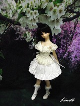 IMG_1183