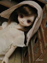 IMG_3768