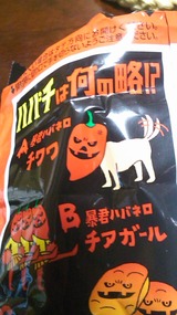 74c41a70.jpg