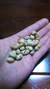 e800e9b3.jpg