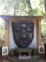 5f9d0770.jpg