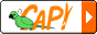 banner cap
