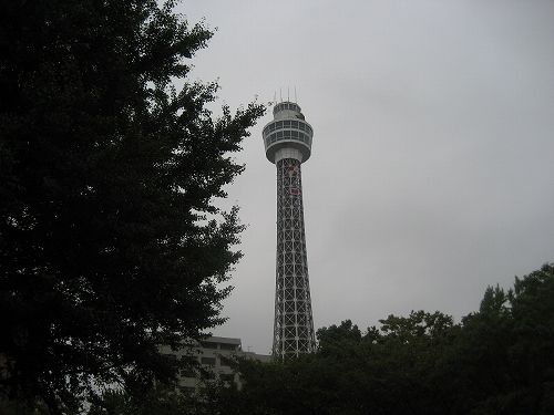 IMG_4082