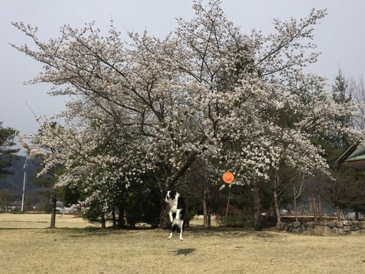 180409-b
