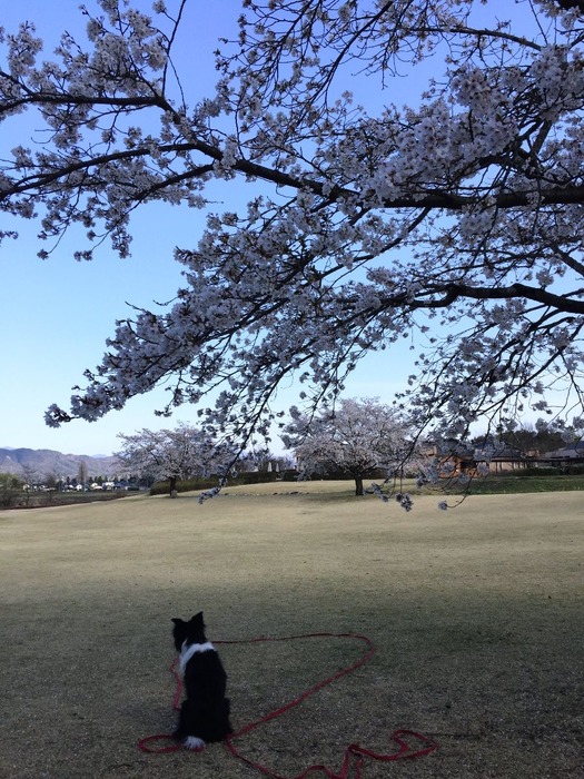 180412-02