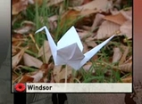 Windsor ON