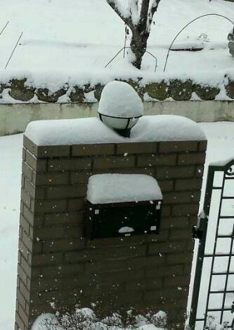 img20130206_155056
