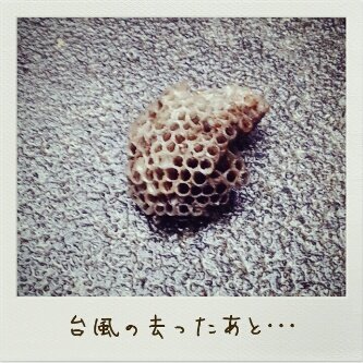 2013-09-17-16-00-39_deco_20130917160251704