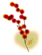 c58e19dd.gif