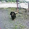 P504iS07937.jpg
