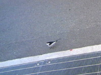 7848870c.jpg