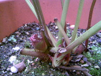 ddecef53.jpg