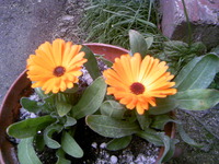 ebf9975b.jpg