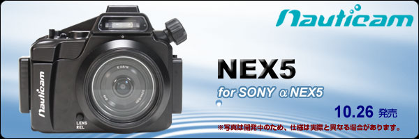 s_bn_na_nex5_top