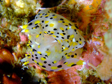 4e28473b.jpg