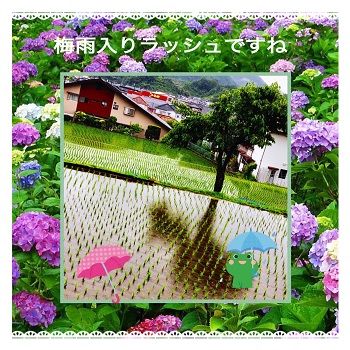 2018梅雨