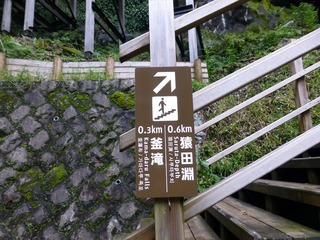 s-P1230270
