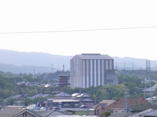 s-P1190991
