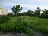 s-P1060840