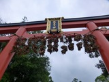 s-P1060122