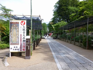 s-P1190864