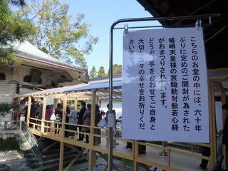 s-P1240181
