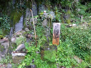 s-P1230250