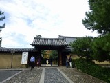 s-P1010617