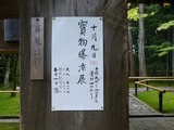 s-P1010653