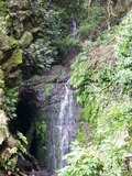 s-P1060224