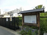 s-P1060810