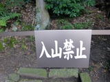 s-P1060204