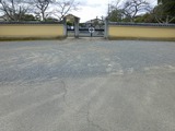 s-P1100875
