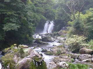 s-P1230242