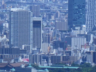s-P1220698