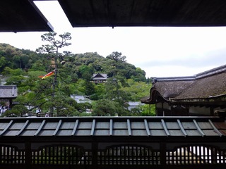 s-P1190887