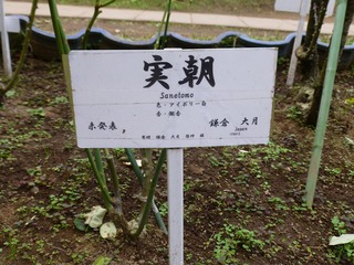 s-P1230845